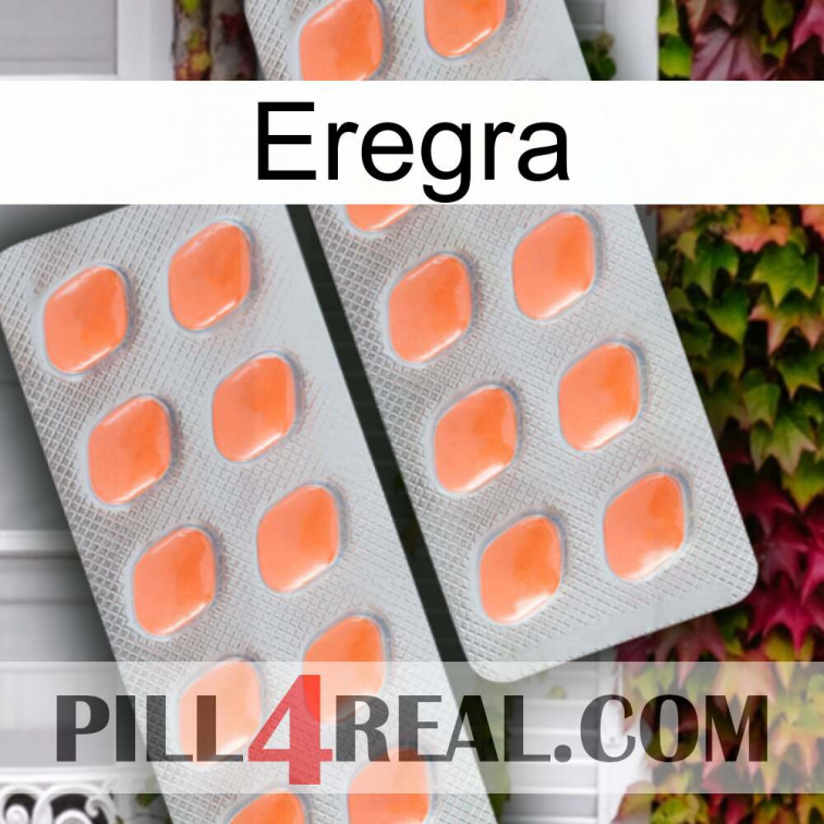 Eregra 27